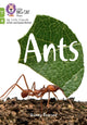 Book cover of: Ants. By: Collins Big Cat