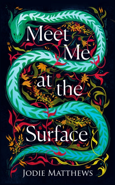 Book cover of: Meet Me at the Surface. By: Jodie Matthews