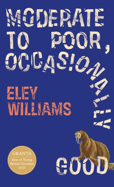 Book cover of: Moderate to Poor, Occasionally Good