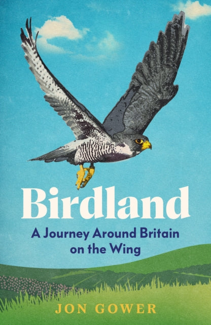 Book cover of: Birdland