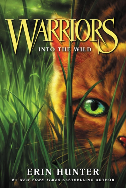 Book cover of: Into the Wild