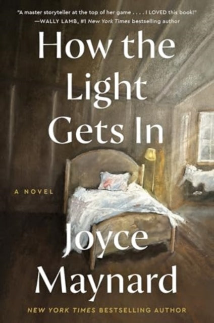 Book cover of: How the Light Gets In