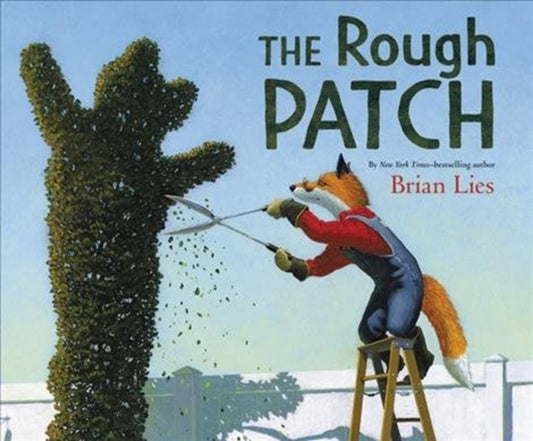 Book cover of: Rough Patch. By: Brian Lies