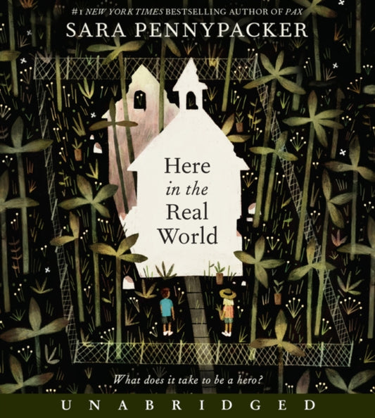 Book cover of: Here in the Real World. By: Sara Pennypacker