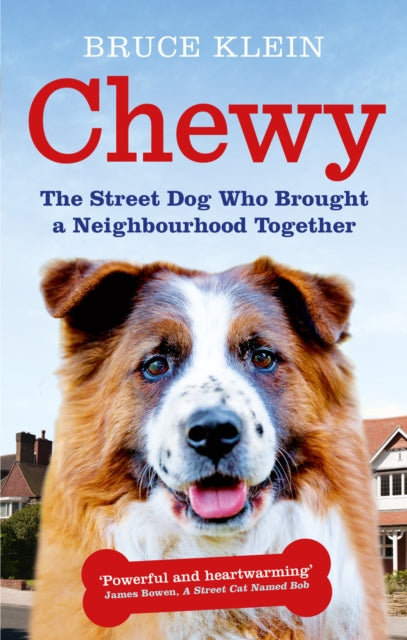 Book cover of: Chewy. By: Bruce Klein