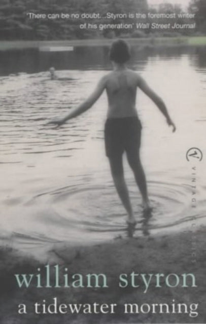 Book cover of: Tidewater Morning. By: William Styron