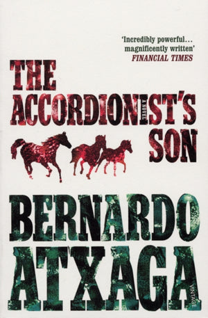 Accordionist's Son