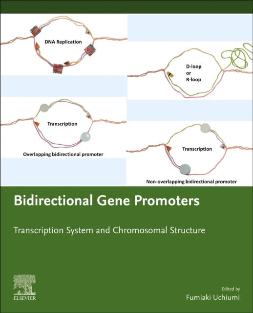 Book cover of: Bidirectional Gene Promoters. By: Fumiaki Uchiumi