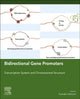 Book cover of: Bidirectional Gene Promoters. By: Fumiaki Uchiumi