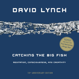 Catching the Big Fish, Meditation, Consciousness, and Creativity