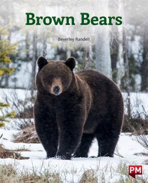 Book cover of: BROWN BEARS