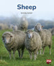Book cover of: SHEEP