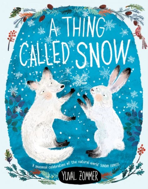 Thing Called Snow 9780192769831 Yuval Zommer