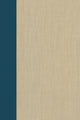 Book cover of: Terrorism Documents of International and Local Control: Volume 95. By: Douglas C. Lovelace Jr.