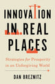 Book cover of: Innovation in Real Places. By: Dan Breznitz