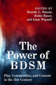 Book cover of: Power of BDSM. By: Brandy Simula