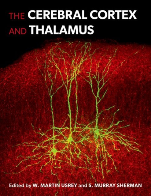 Book cover of: Cerebral Cortex and Thalamus. By: Usrey