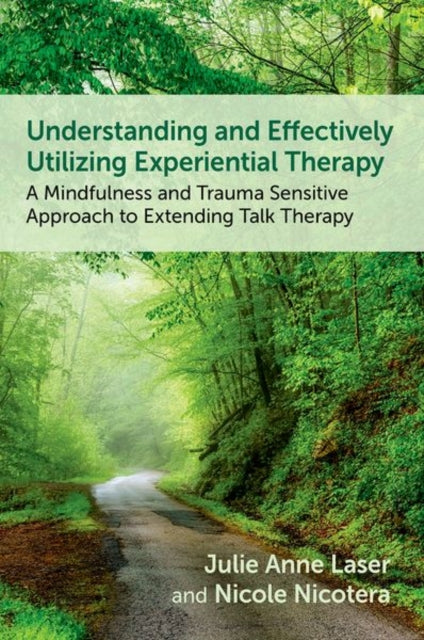 Book cover of: Understanding and Effectively Utilizing Experiential Therapy. By: Julie Anne Laser