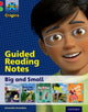 Book cover of: Project X Origins: Red Book Band, Oxford Level 2: Big and Small: Guided reading notes. By: Amanda Snowden