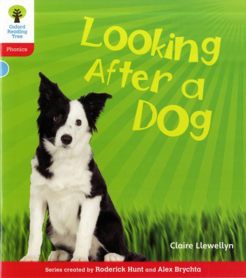 Oxford Reading Tree: Level 4: Floppy's Phonics Non-Fiction: Looking After a Dog