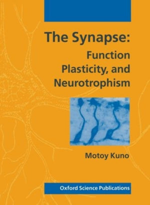 Synapse