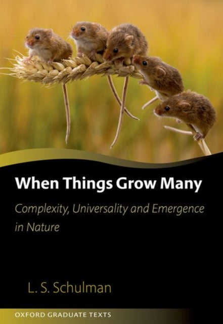 Book cover of: When Things Grow Many. By: Lawrence Schulman