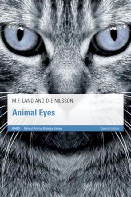 Animal Eyes