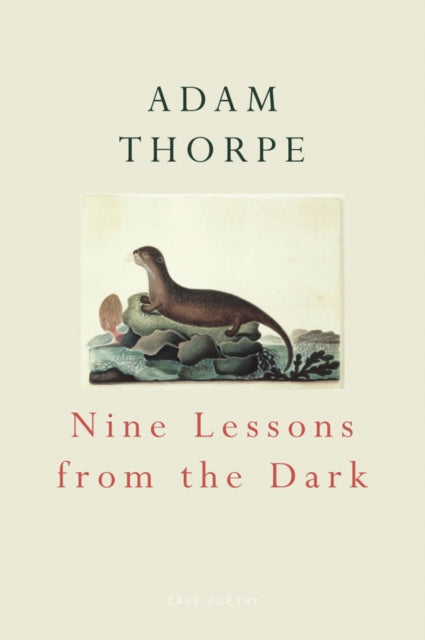 Book cover of: Nine Lessons From The Dark