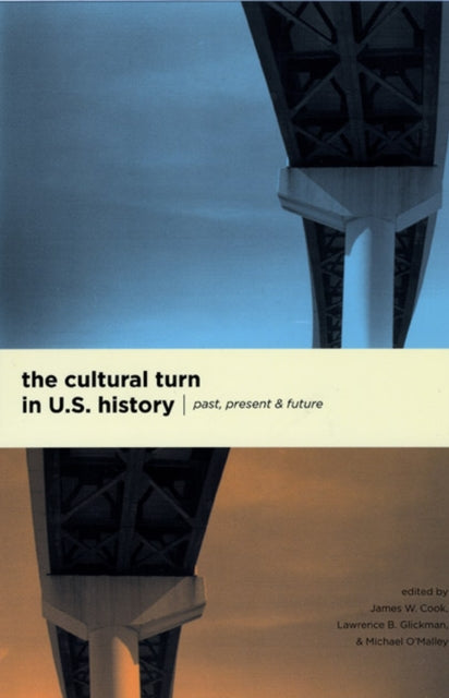 Book cover of: Cultural Turn in U. S. History