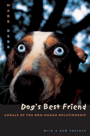 Dog's Best Friend