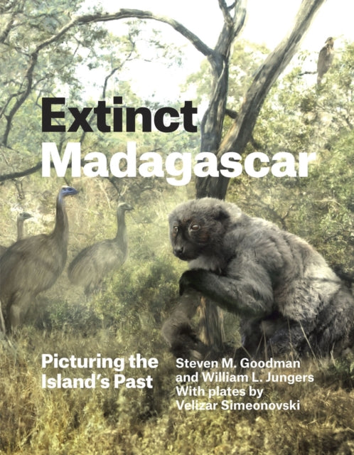 Book cover of: Extinct Madagascar. By: Steven M. Goodman