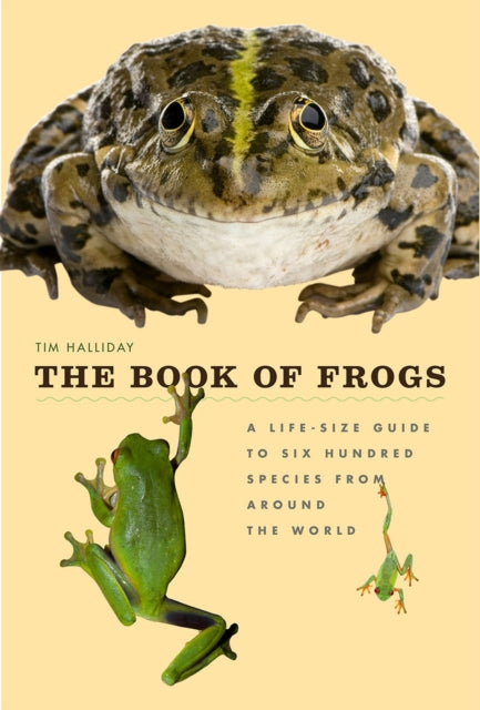 Book cover of: Book of Frogs. By: Tim Halliday