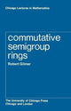 Book cover of: Commutative Semigroup Rings