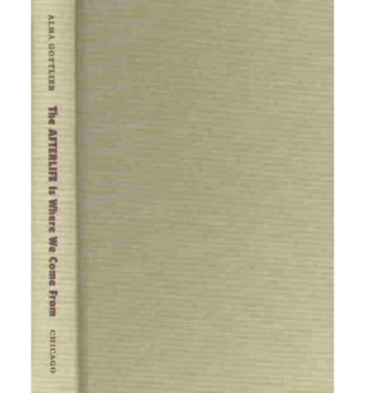 Book cover of: Afterlife Is Where We Come From
