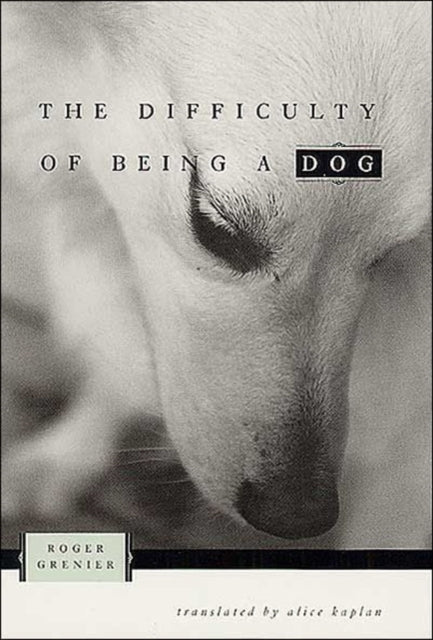 Book cover of: Difficulty of Being a Dog. By: Roger Grenier