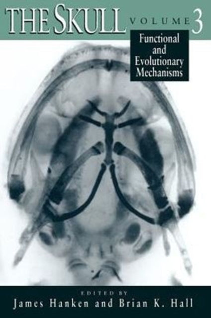 Book cover of: Skull
