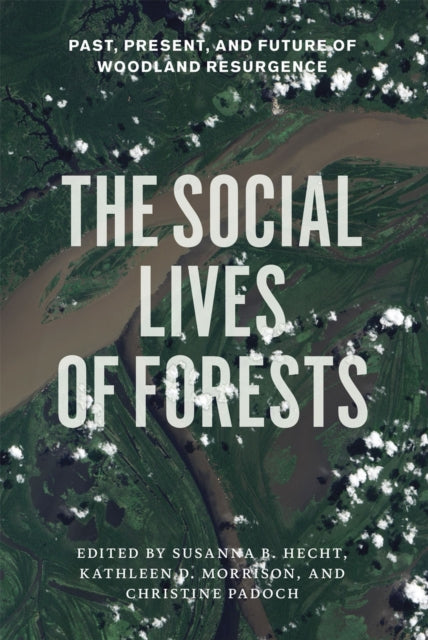 Book cover of: Social Lives of Forests