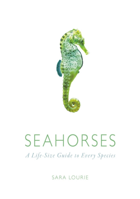 Book cover of: Seahorses. By: Sara A. Lourie