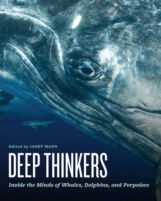 Book cover of: Deep Thinkers. By: Janet Mann