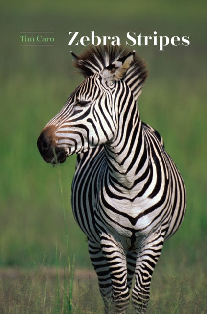 Book cover of: Zebra Stripes. By: T. M. Caro