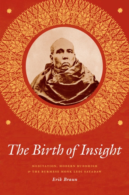 Book cover of: Birth of Insight. By: Erik Braun