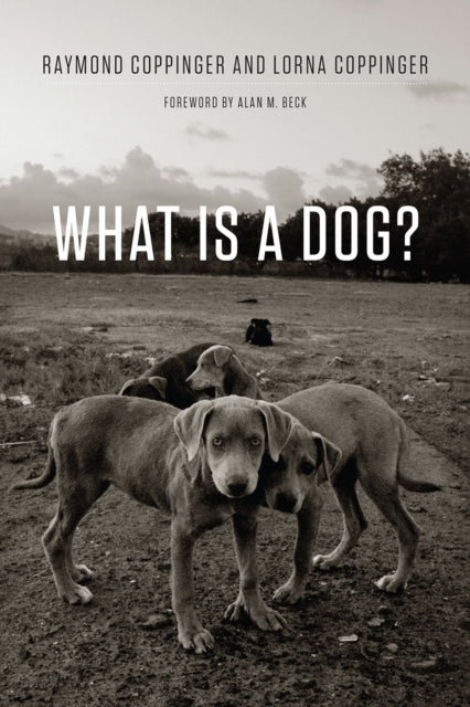 Book cover of: What Is a Dog?. By: Raymond Coppinger