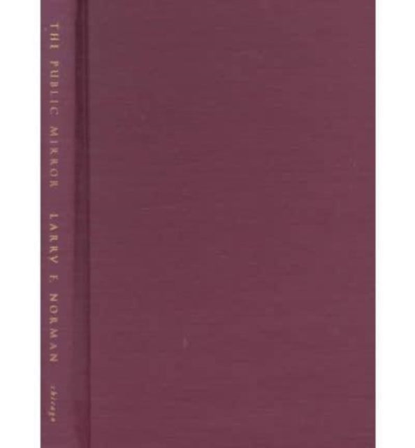 Book cover of: Public Mirror