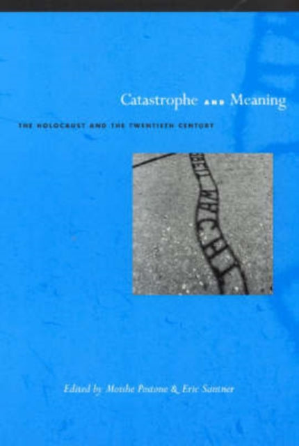 Book cover of: Catastrophe and Meaning