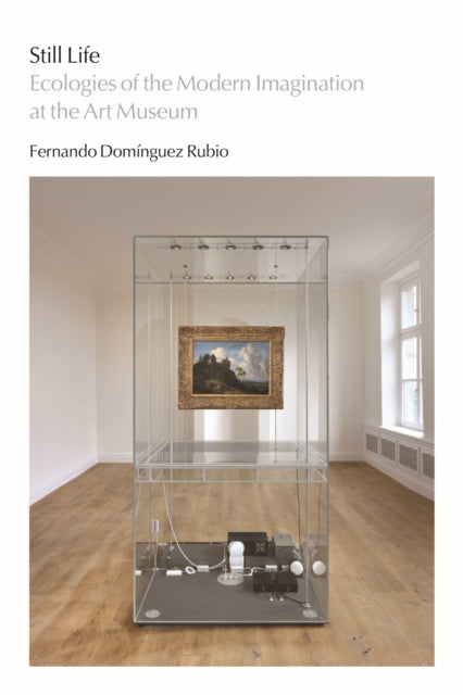 Book cover of: Still Life. By: Fernando Domínguez Rubio