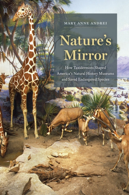 Book cover of: Nature's Mirror. By: Mary Anne Andrei