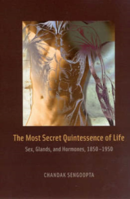 Book cover of: Most Secret Quintessence of Life