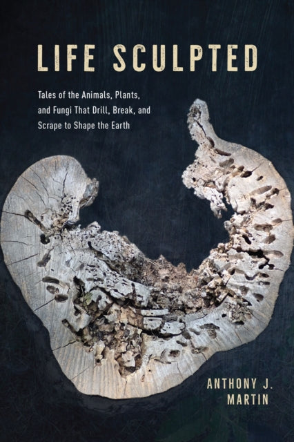 Book cover of: Life Sculpted. By: Anthony J. Martin