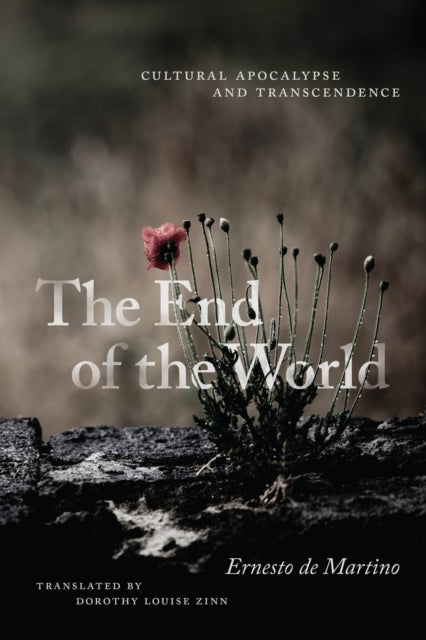 Book cover of: End of the World. By: Ernesto de Martino
