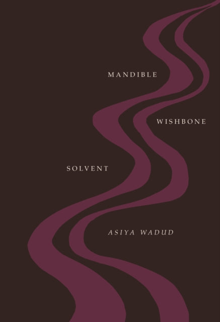 Book cover of: Mandible Wishbone Solvent. By: Asiya Wadud